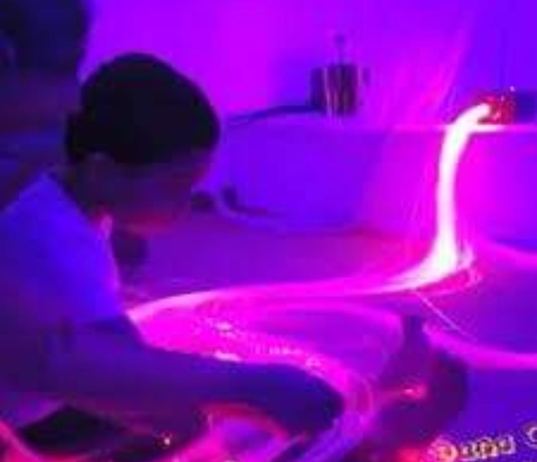 Sensory Integration
