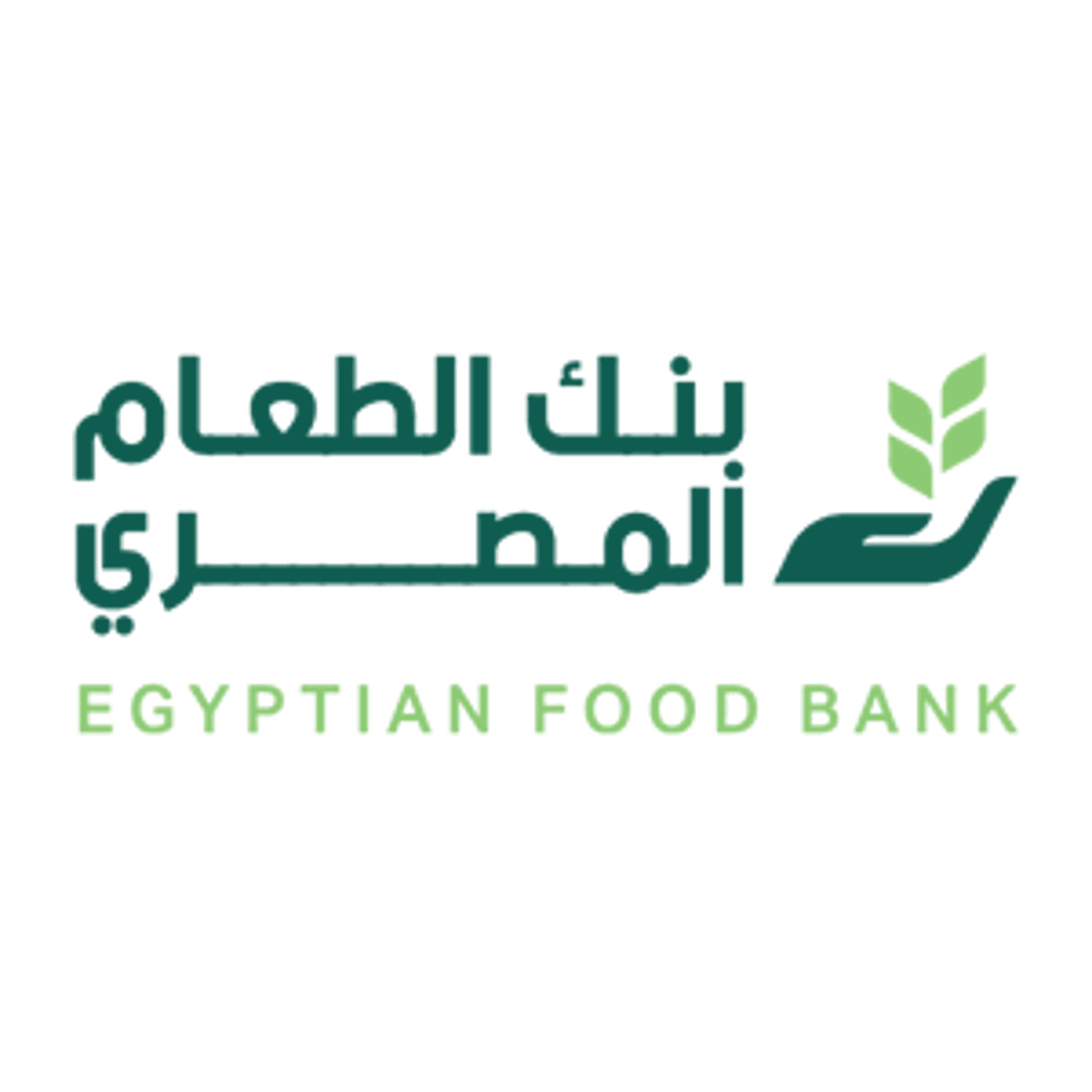 Egypt Food Bank